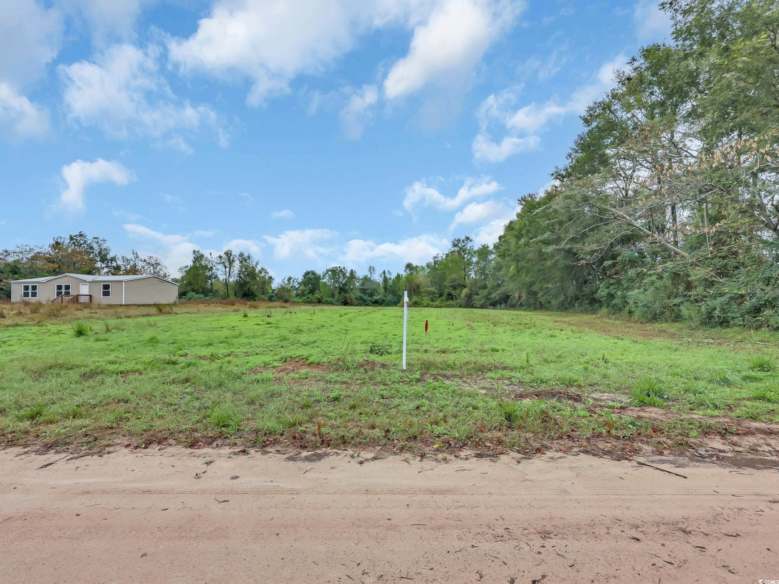 Tbd Willow Grove Drive Loris, SC 29569 - Photo 7 of 34