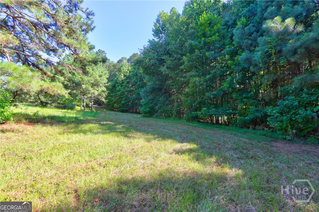 0 New Hope Church Road Cuthbert, GA 39840 - Photo 3 of 20