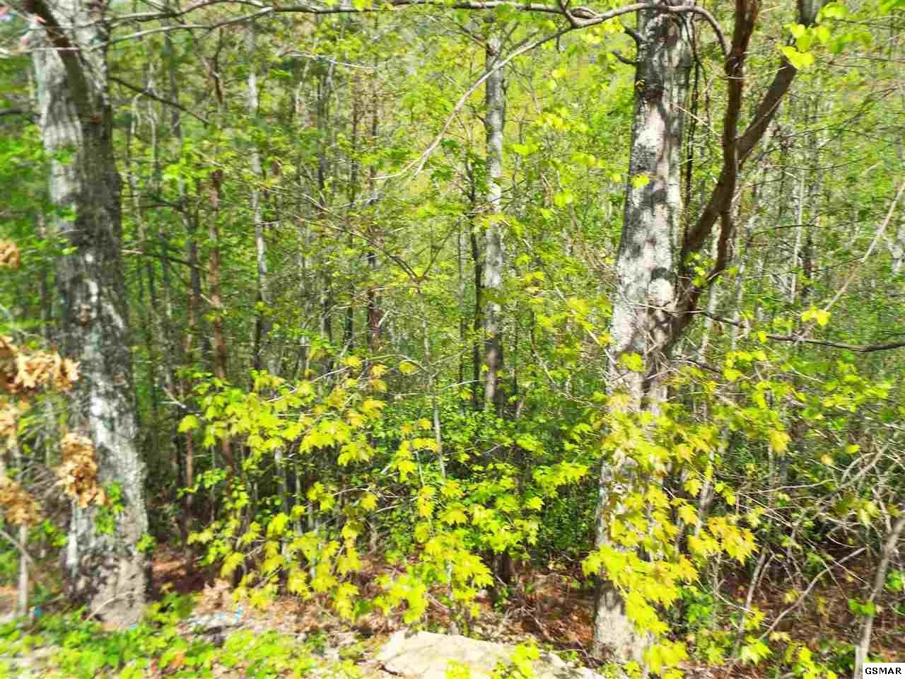 63 Redtail Road Sevierville, TN 37862 - Photo 18 of 24 Gallery Image 18