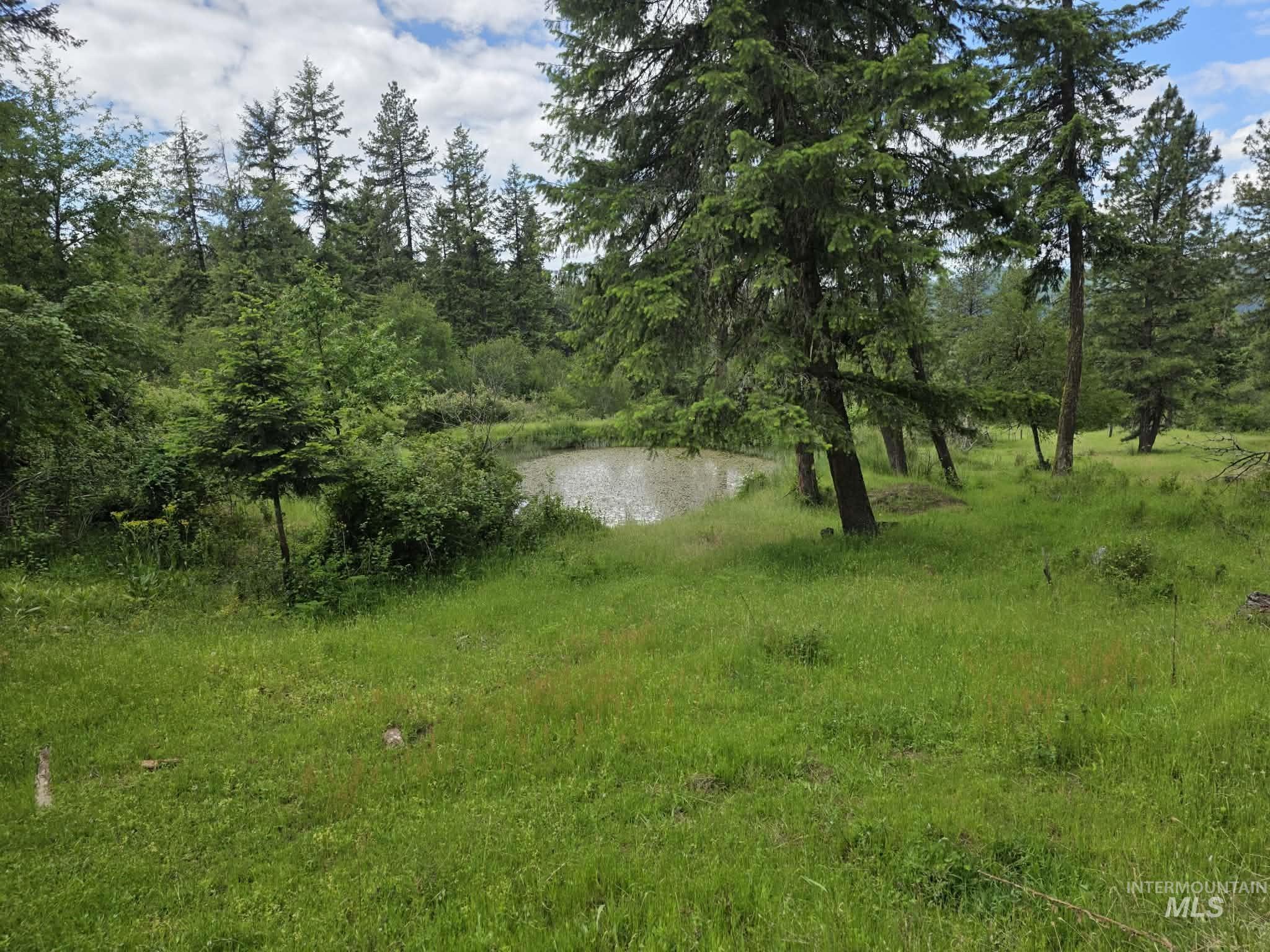 3871 Lakeview Road Orofino, ID 83544 - Photo 38 of 49