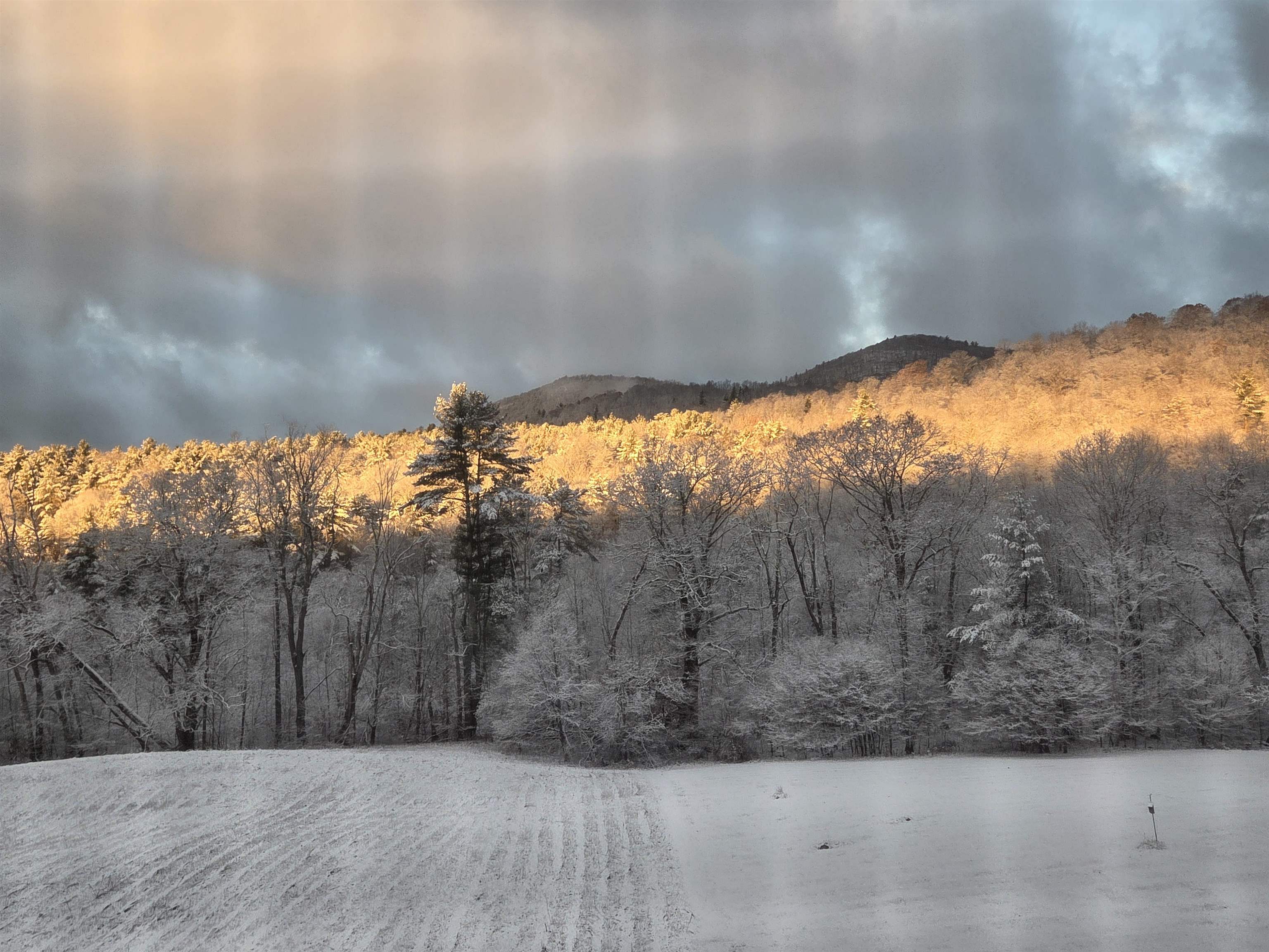 289 Lamb Hill Road Wells, VT 05774 - Photo 22 of 23