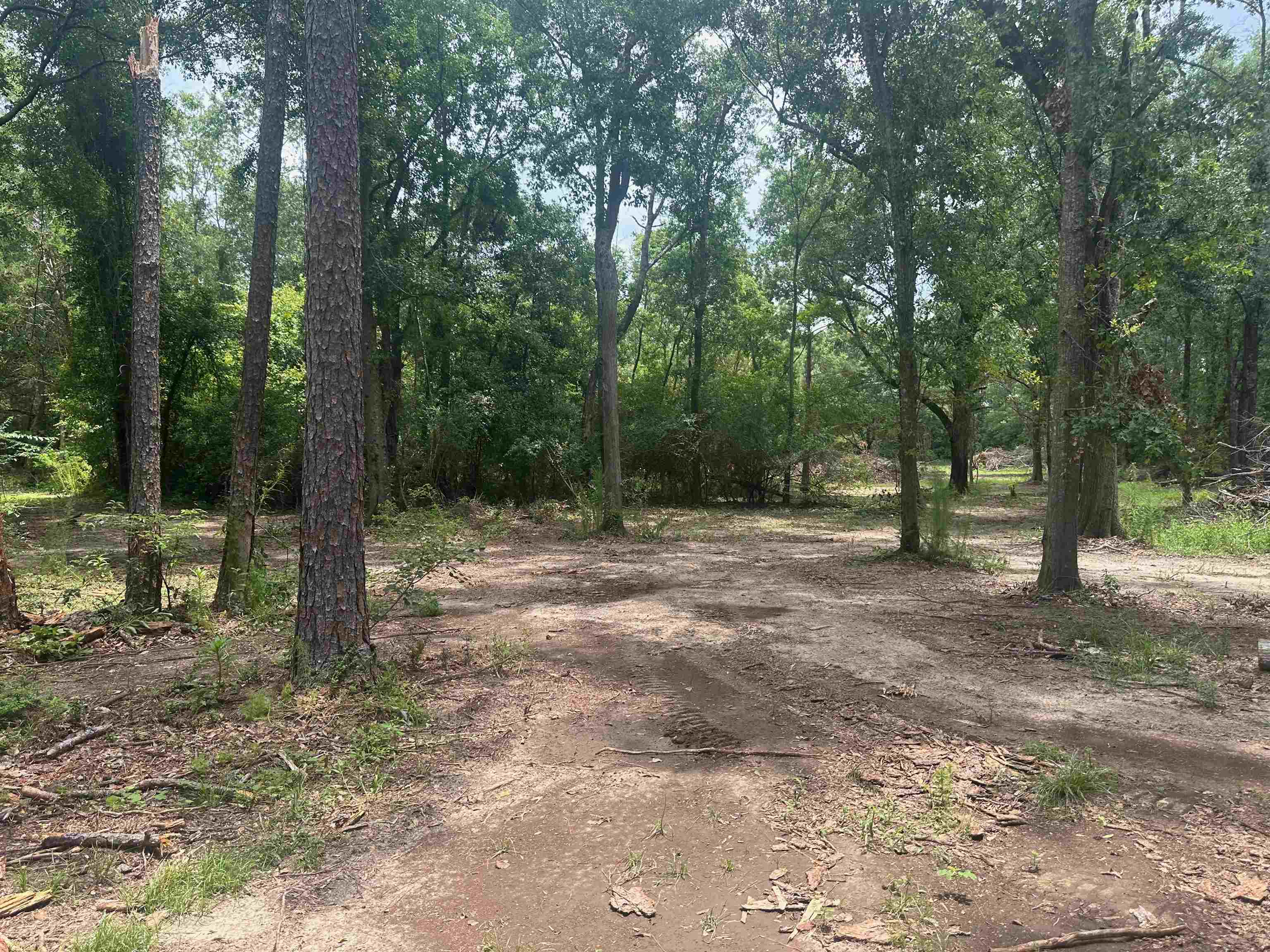 23040 Forland Road Silverhill, AL 36576 - Photo 10 of 13 Community