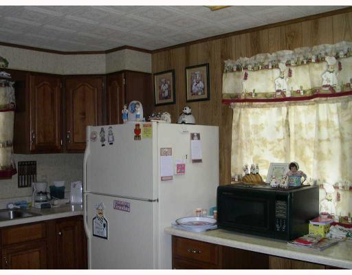 167 Godfrey Road Leechburg, PA 15656 - Photo 3 of 12 Kitchen.