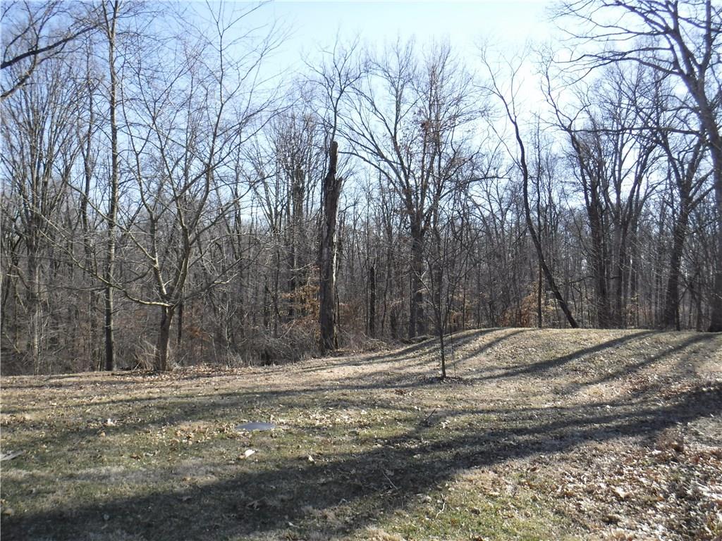 6989 Ellis Lake Road Paragon, IN 46166 - Photo 9 of 22