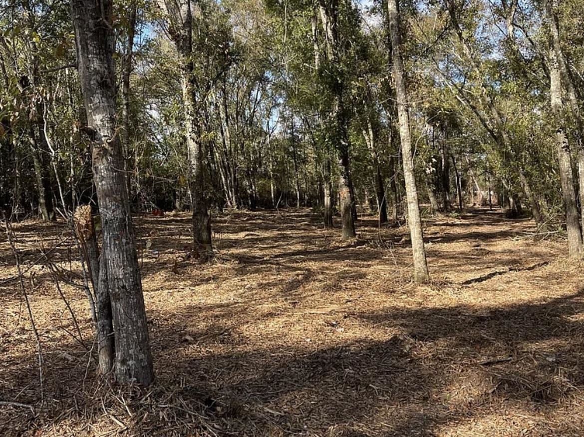 32761 Seminole Road West Seminole, AL 36574 - Photo 3 of 4 View