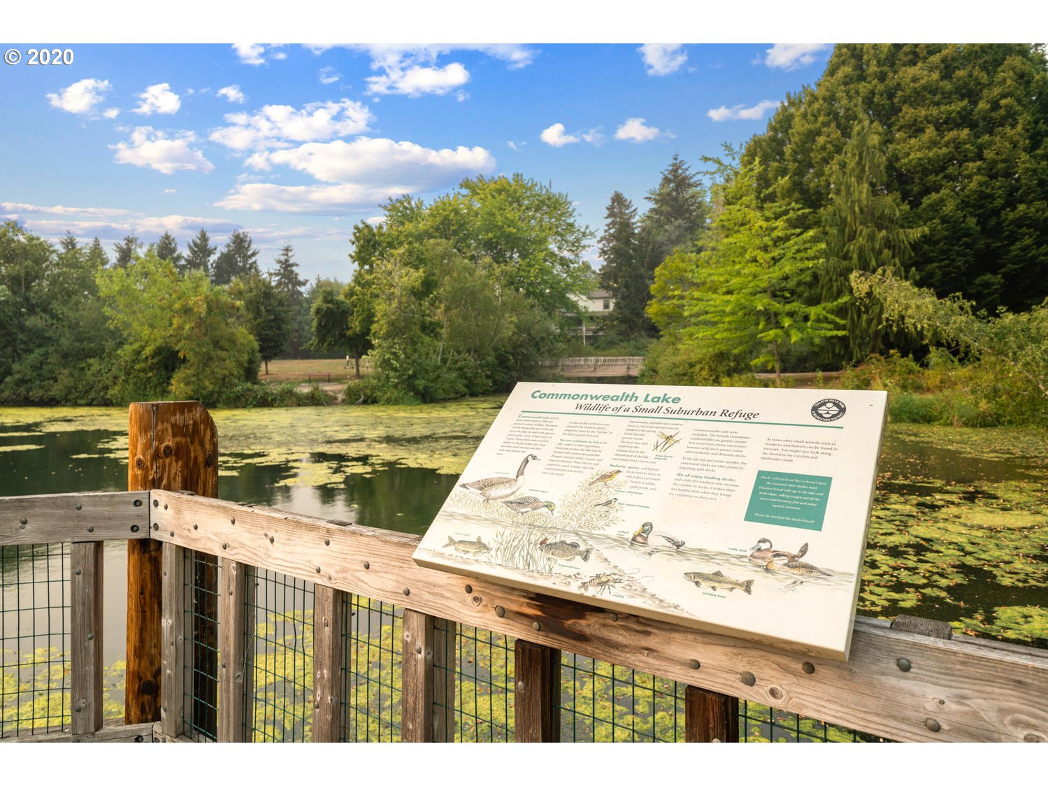 12260 Southwest Butner Road Portland, OR 97225 - Photo 25 of 28 Gallery Image 25