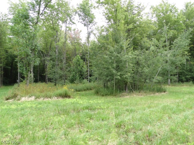 Rick Road Pierpont, OH 44082 - Photo 19 of 21