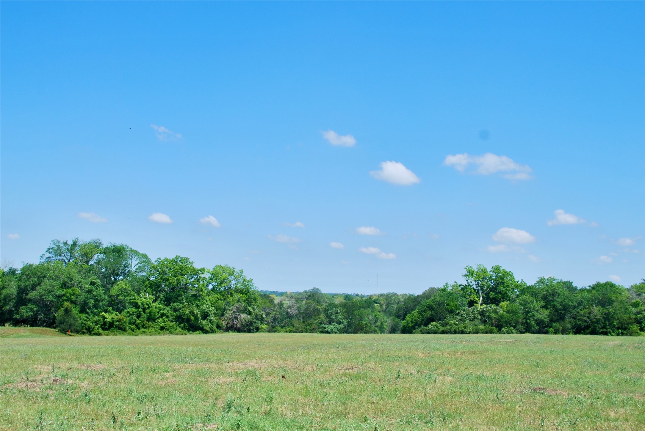 1049 Muehr Road Weimar, TX 78962 - Photo 8 of 24 a view of an outdoor space and yard