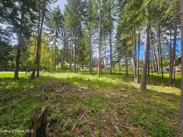$215,000 | Nka North 4th Street, Bayview, ID 83803