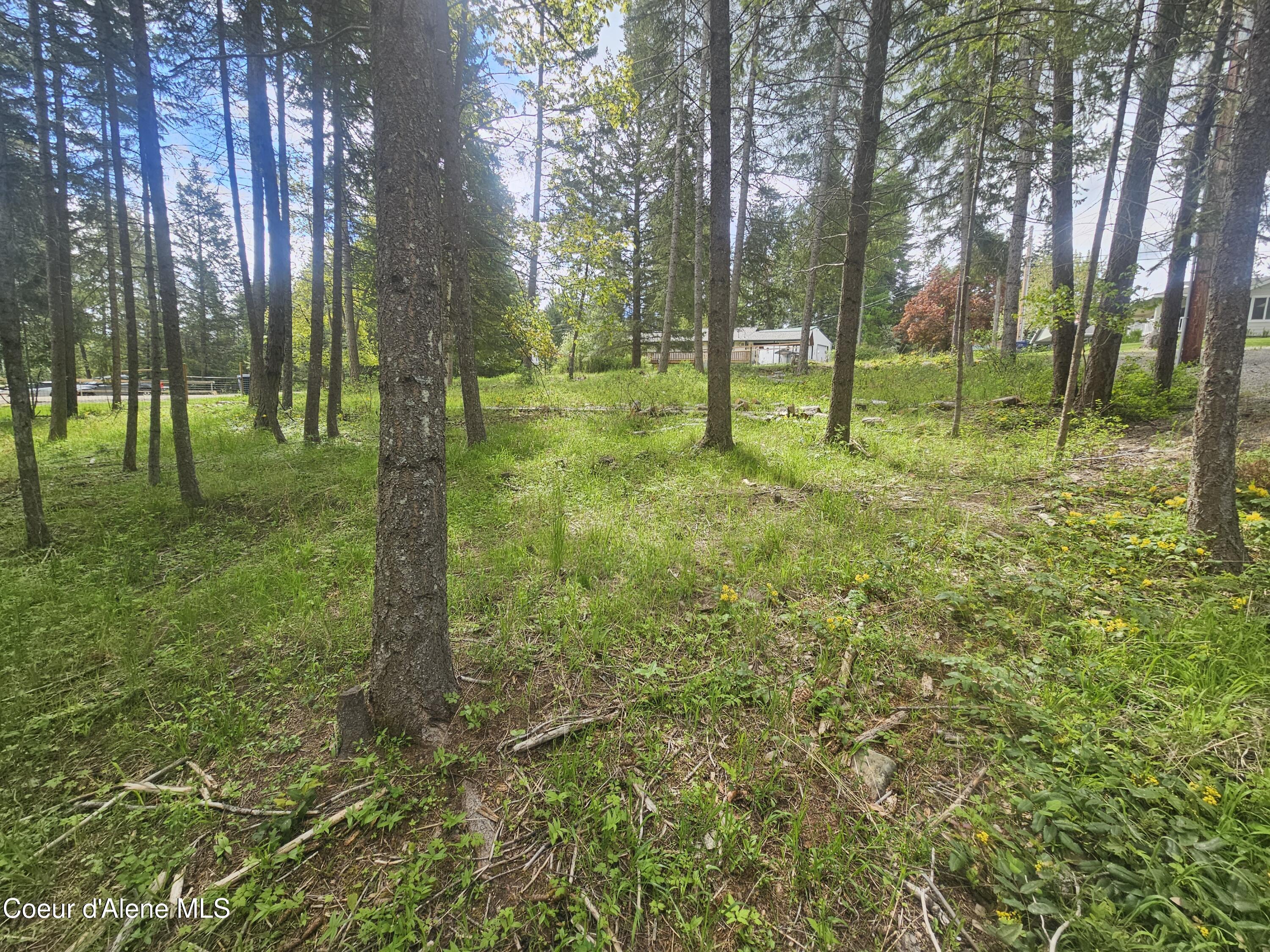 Nka North 4th Street Bayview, ID 83803 - Photo 6 of 15 6