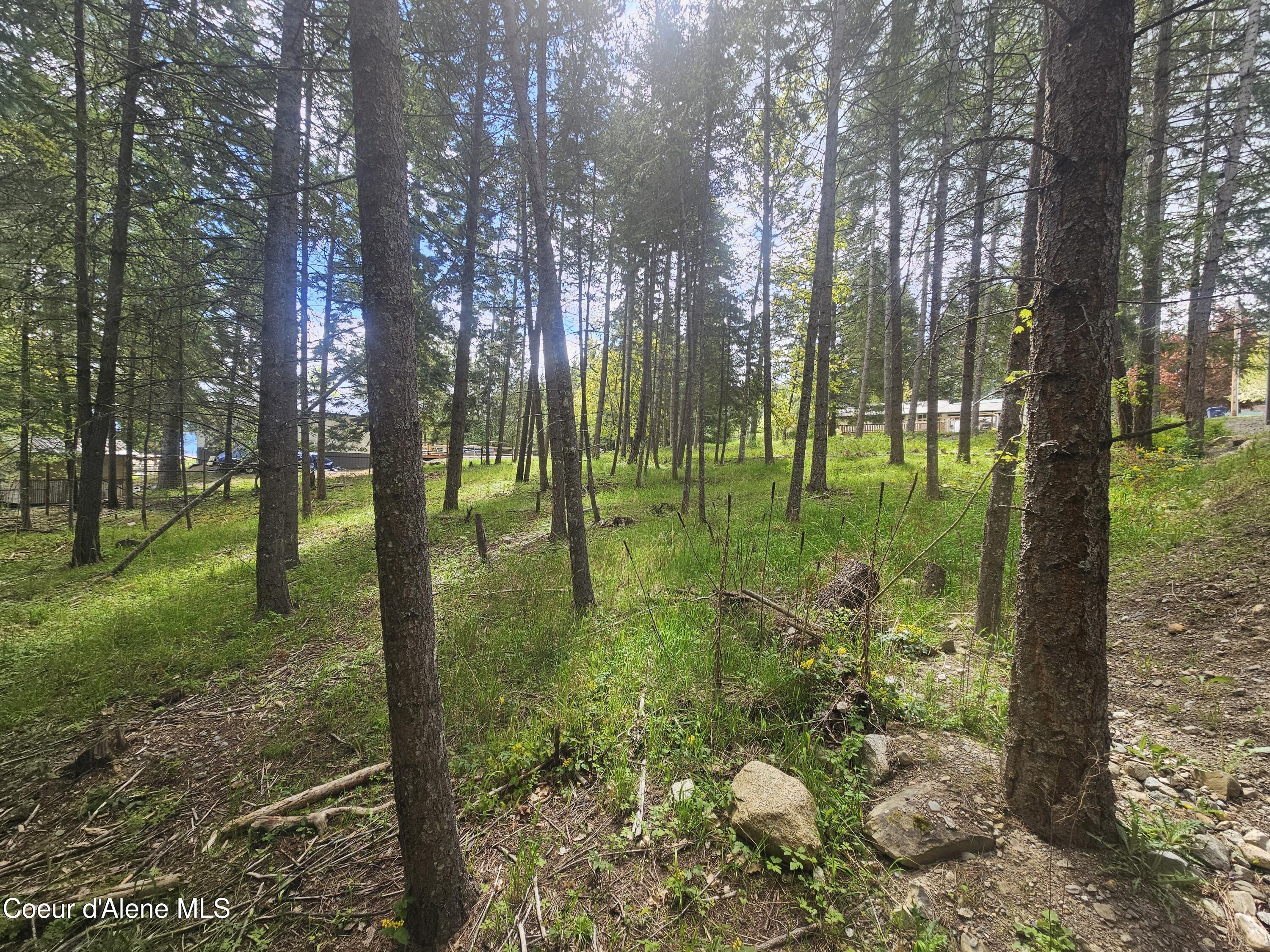 Nka North 4th Street Bayview, ID 83803 - Photo 9 of 15 9