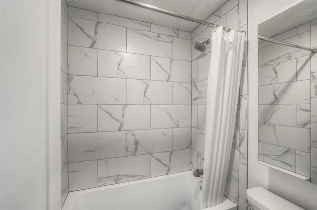 a bathroom with a shower and a toilet