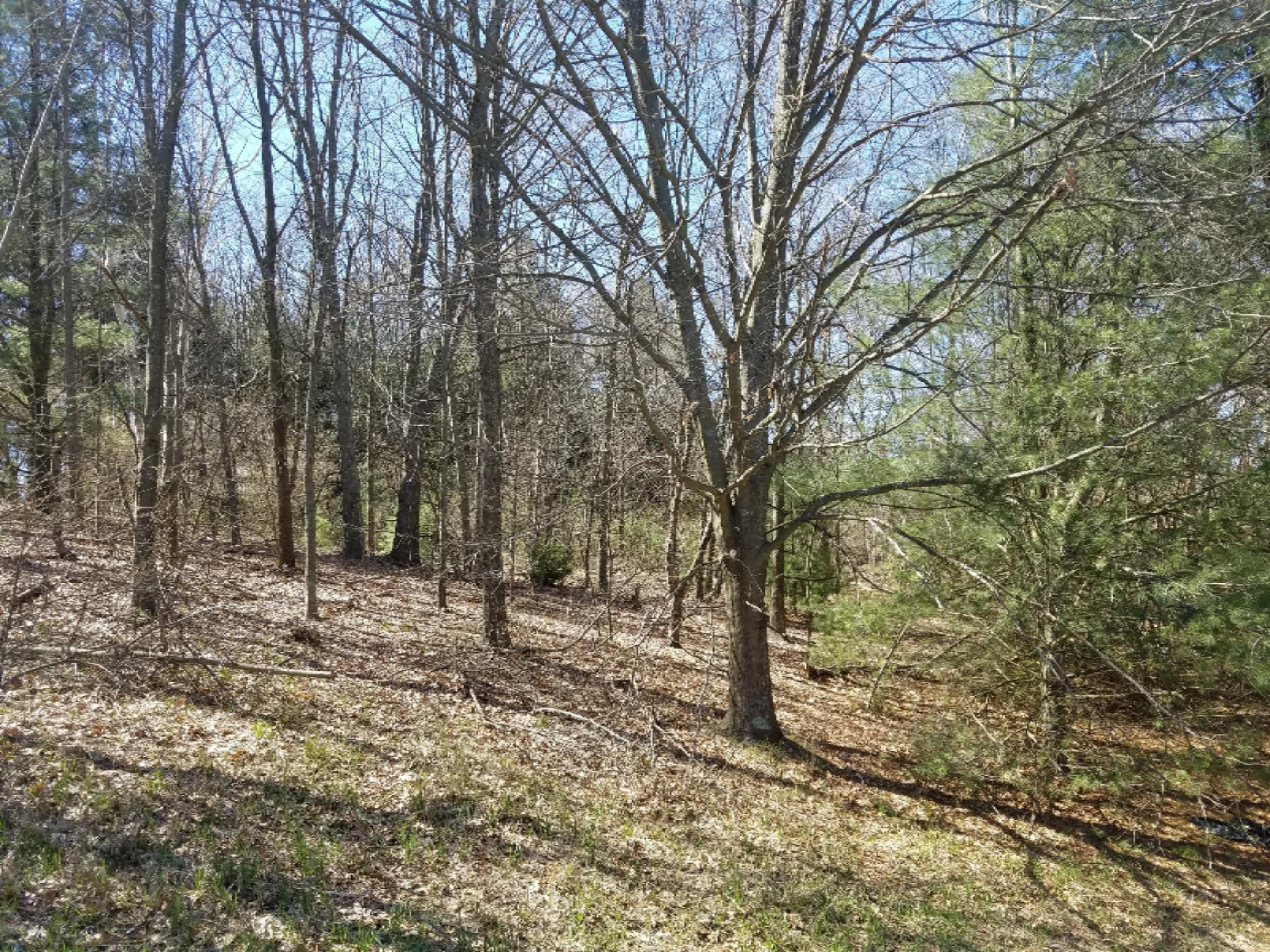 4050 Red Apple Road Manistee, MI 49660 - Photo 1 of 17 171