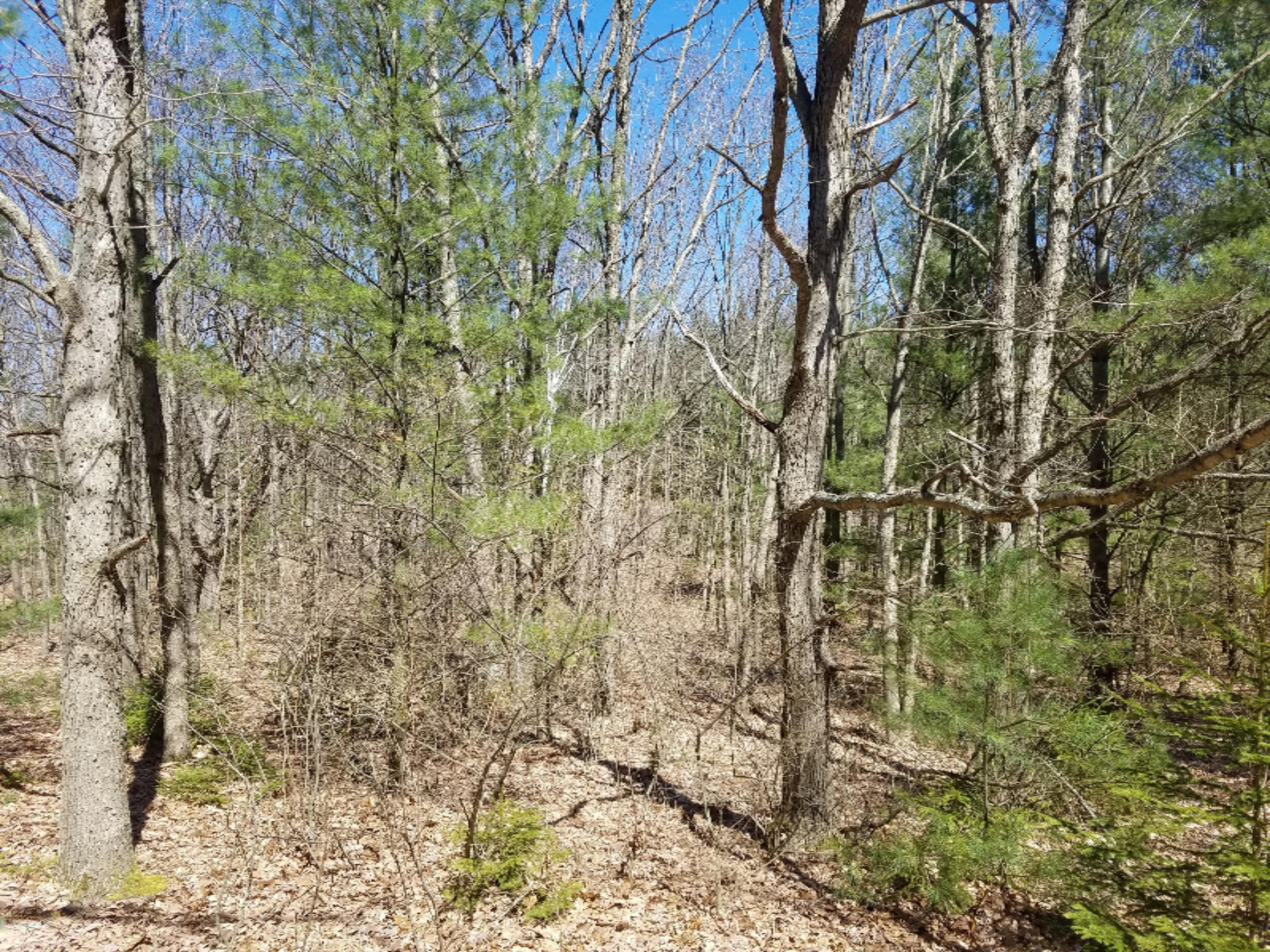 4050 Red Apple Road Manistee, MI 49660 - Photo 11 of 17 165