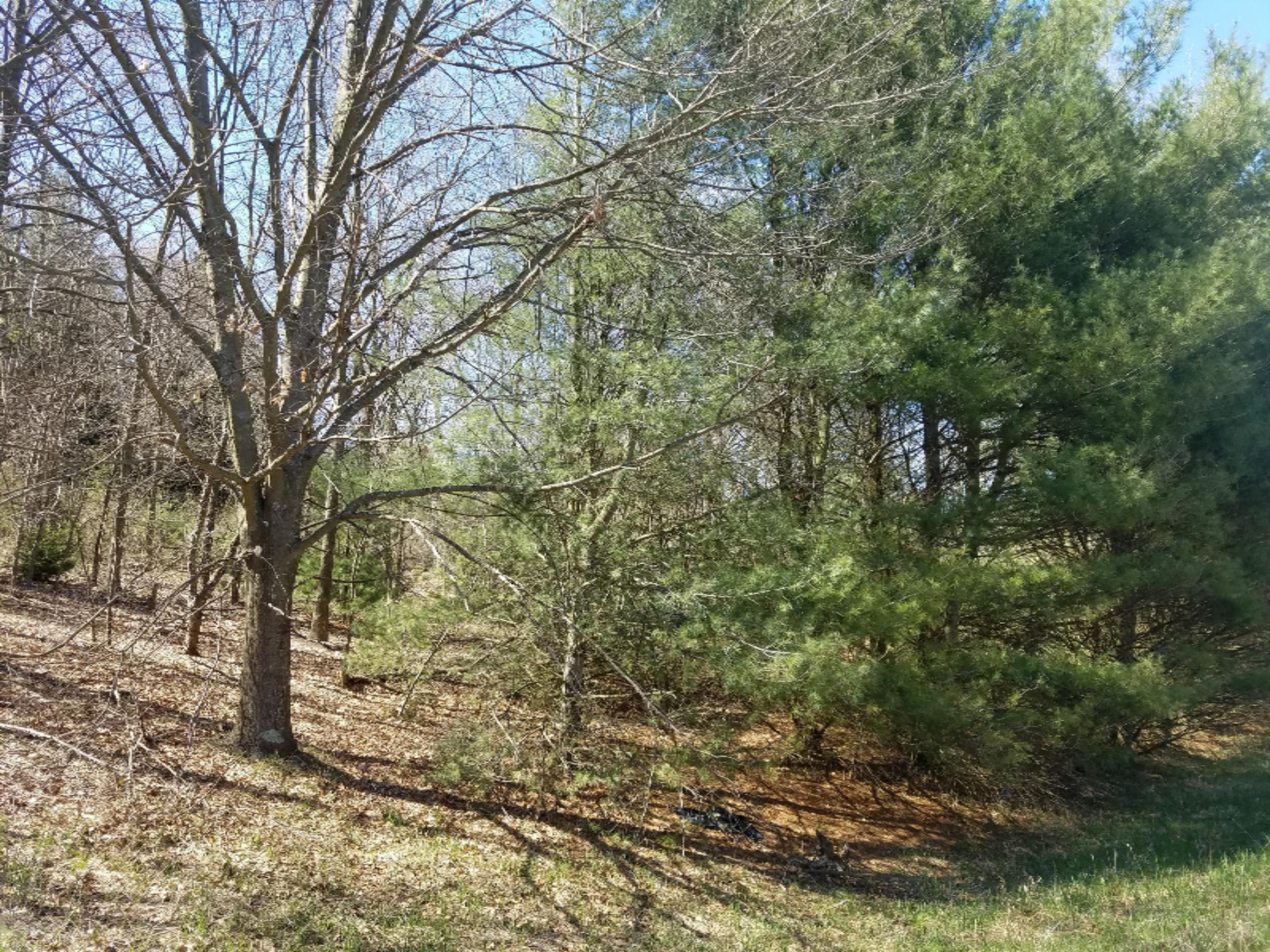 4050 Red Apple Road Manistee, MI 49660 - Photo 17 of 17 172