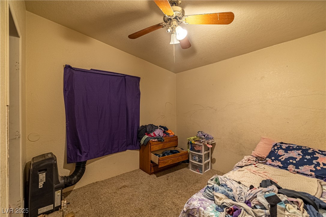 4231 West Wilson Road Pahrump, NV 89048 - Photo 8 of 15 Carpeted bedroom with lofted ceiling, ceiling fan, and a textured ceiling