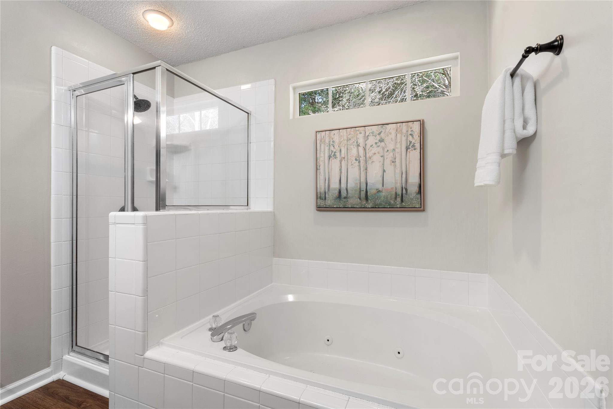 12028 Regent Ridge Lane Charlotte, NC 28278 - Photo 23 of 42 a bathroom with a bathtub and a shower