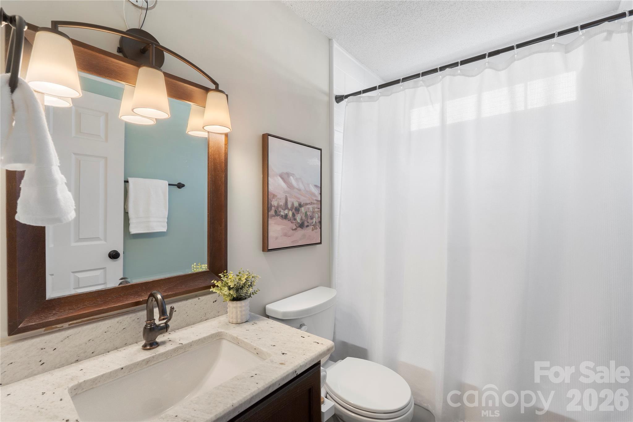 12028 Regent Ridge Lane Charlotte, NC 28278 - Photo 30 of 42 a bathroom with a sink and a mirror