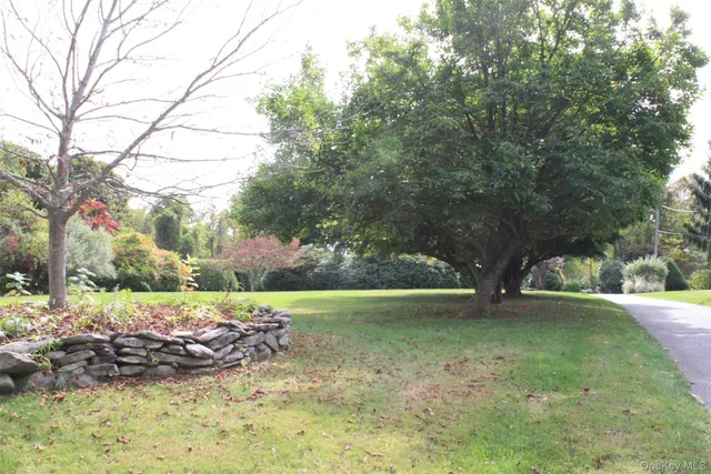 a view of a yard with a tree