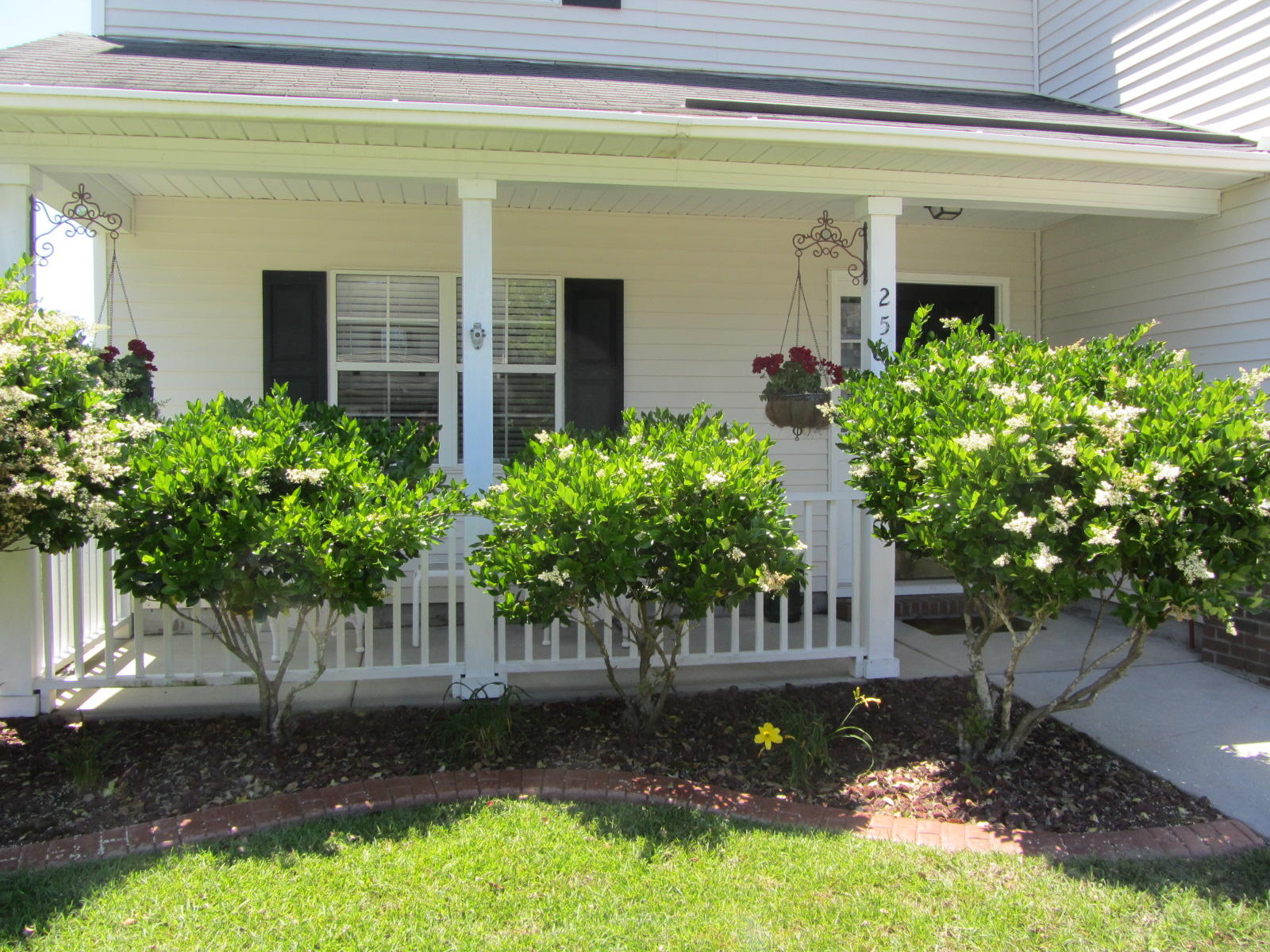 258 Tall Pines Road Ladson, SC 29456 - Photo 3 of 56 IMG_1073