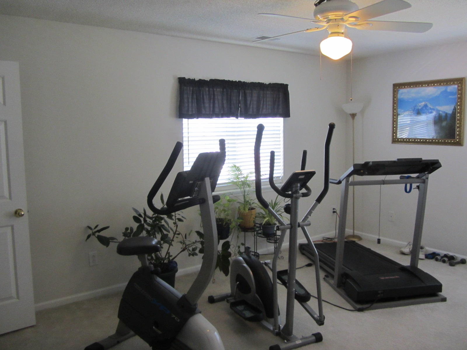 258 Tall Pines Road Ladson, SC 29456 - Photo 35 of 56 IMG_1108