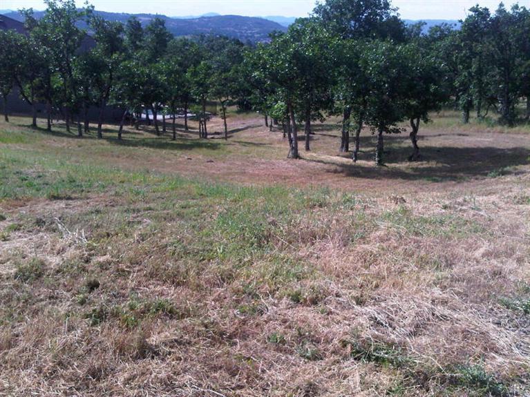 0 Poppy Ridge Drive Eagle Point, OR 97524 - Photo 1 of 4 Primary Photo