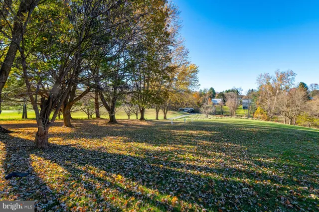 a view of a yard with large trees