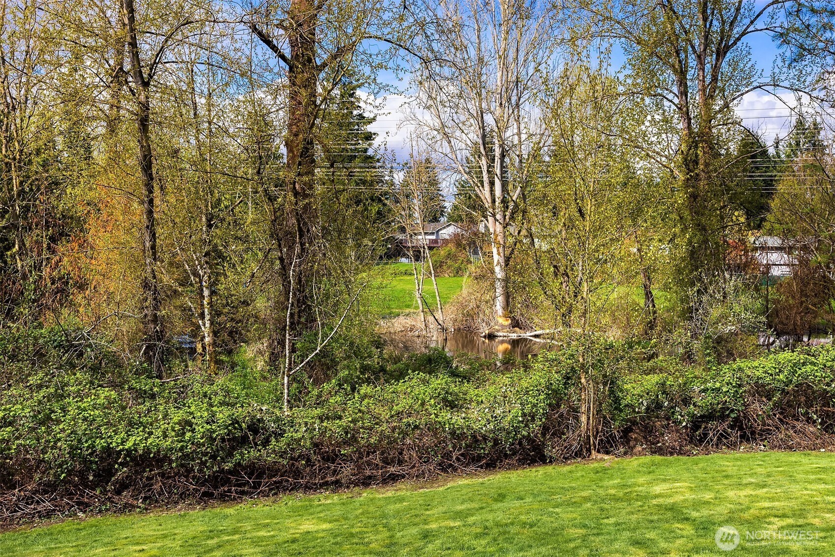 2208 182nd Street Southeast Bothell, WA 98012 - Photo 13 of 24 a view of a yard with large trees