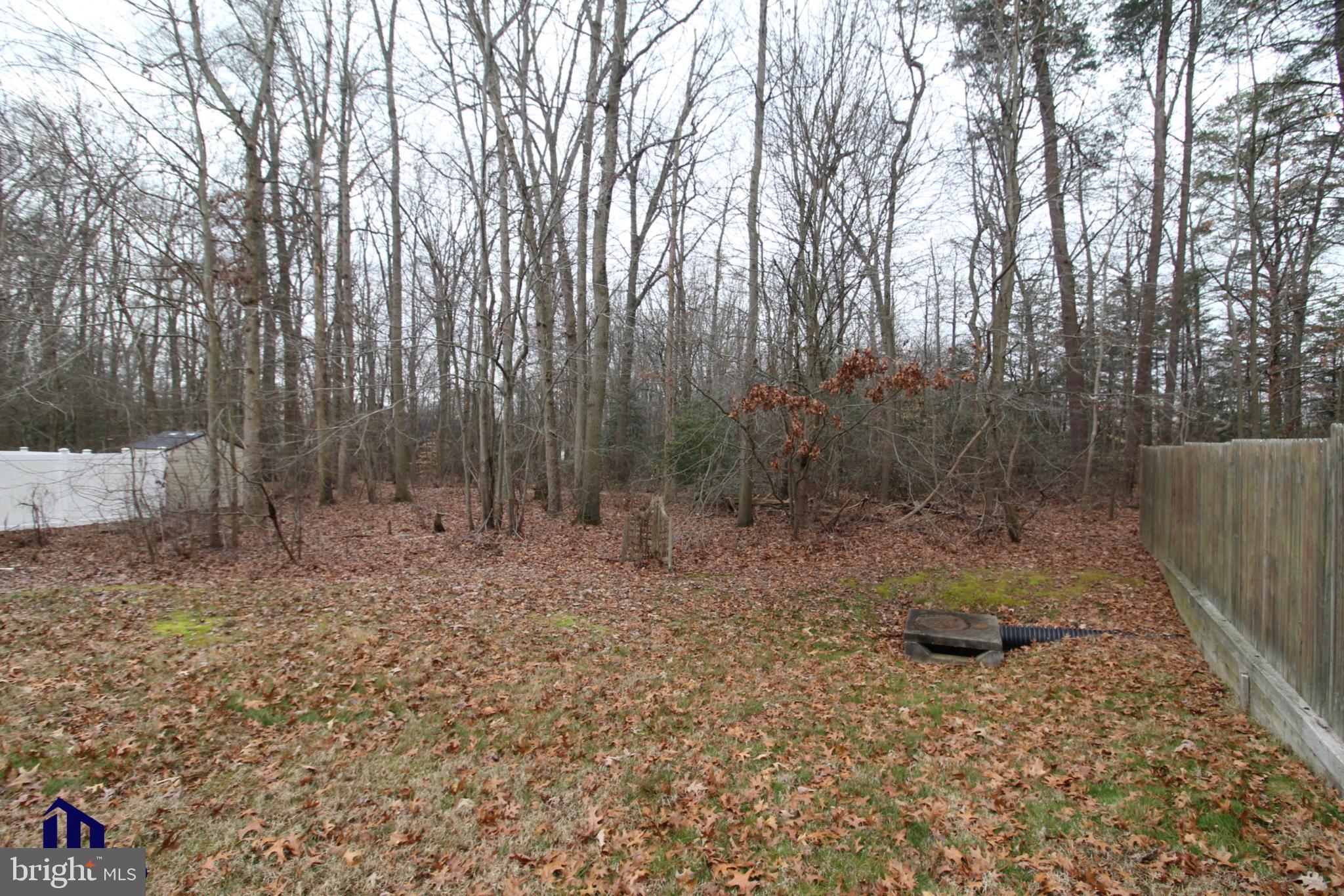 527 Terrapin Terrace Joppa, MD 21085 - Photo 50 of 51