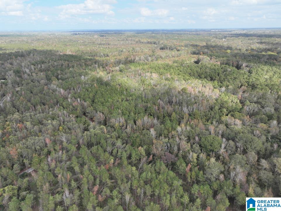 119 Plantation Road, Unit 1 Hope Hull, AL 36043 - Photo 21 of 35