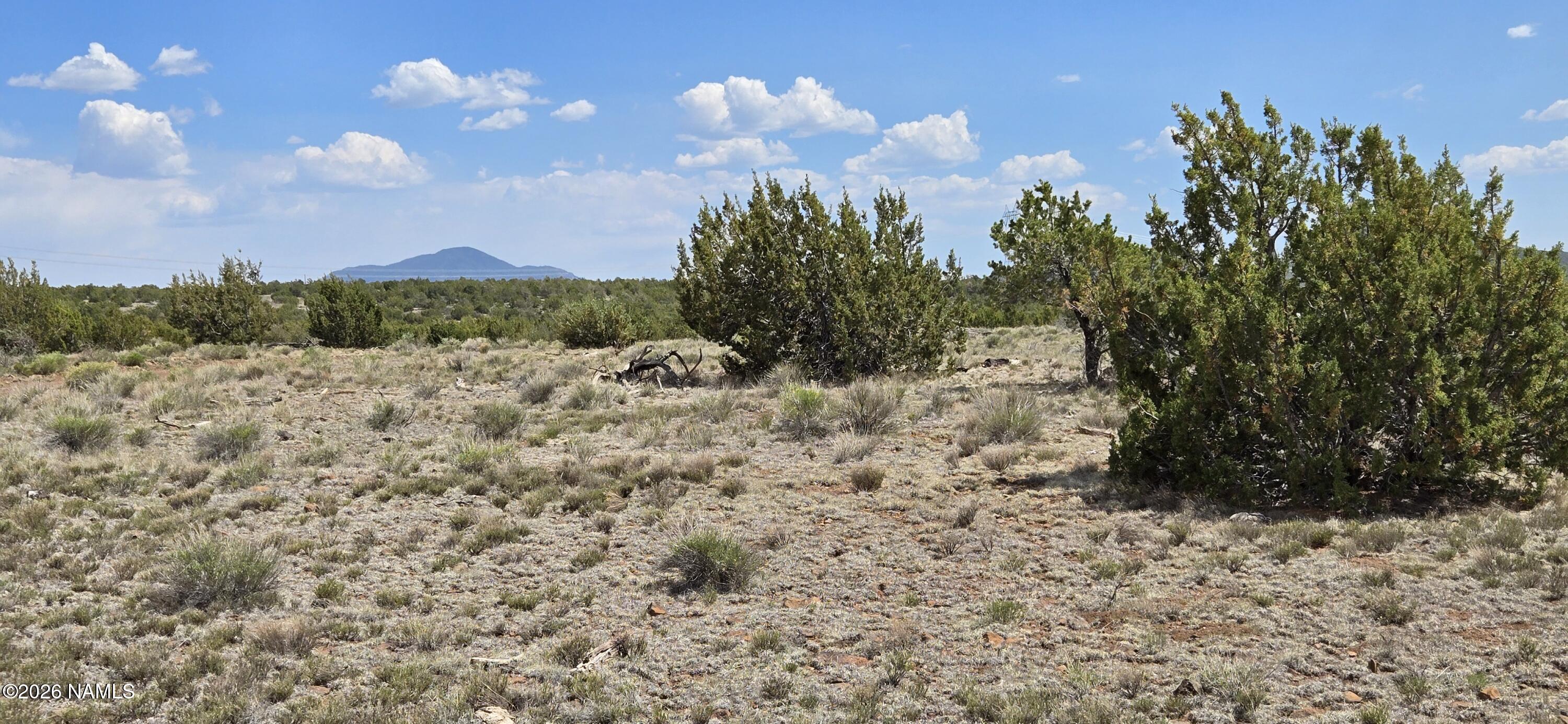 227 Mountain Cat Road Williams, AZ 86046 - Photo 5 of 13 a view of a dry yard with trees