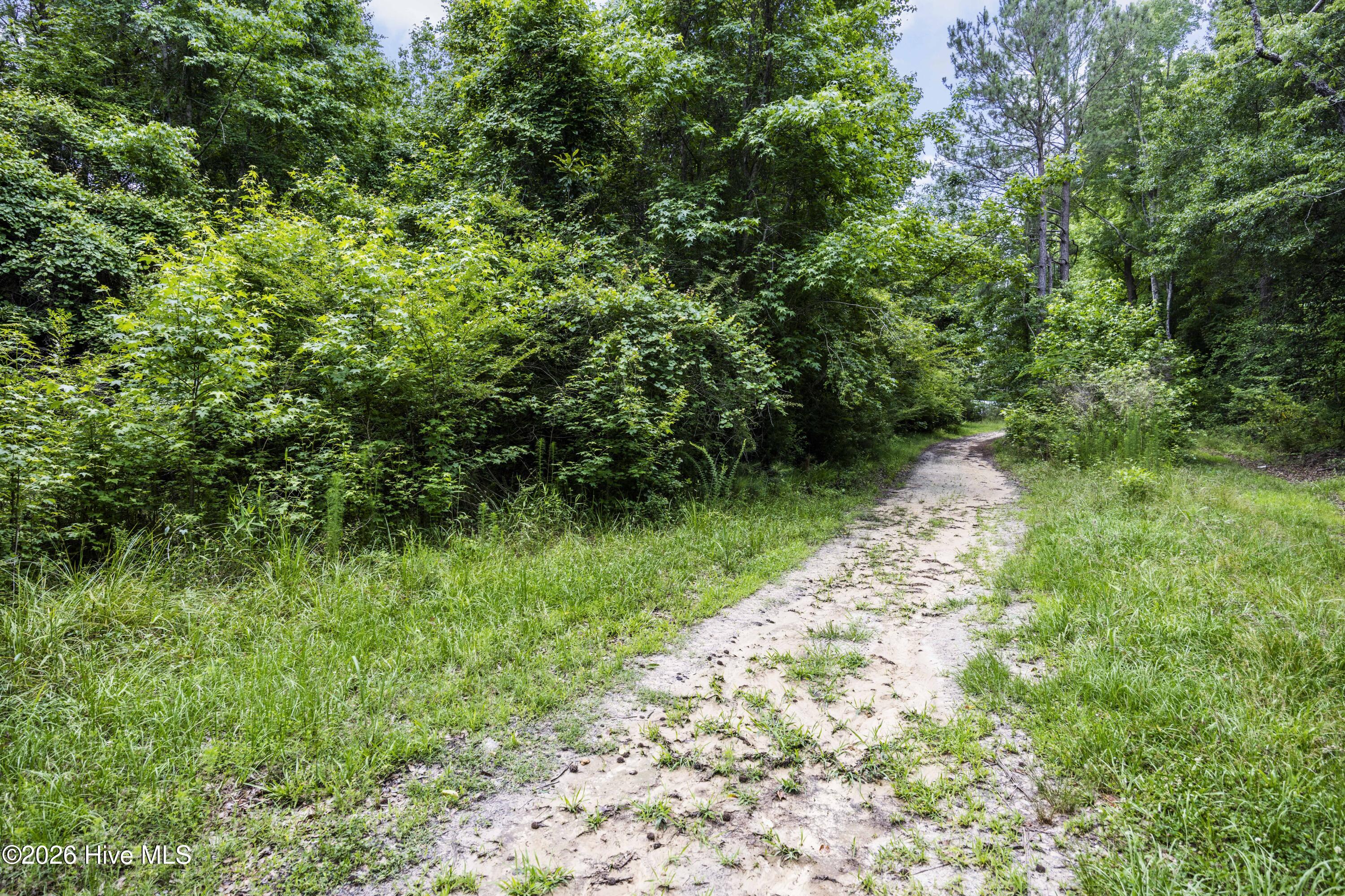 0 Near 4760 Delco Pros Road Delco, NC 28436 - Photo 6 of 9