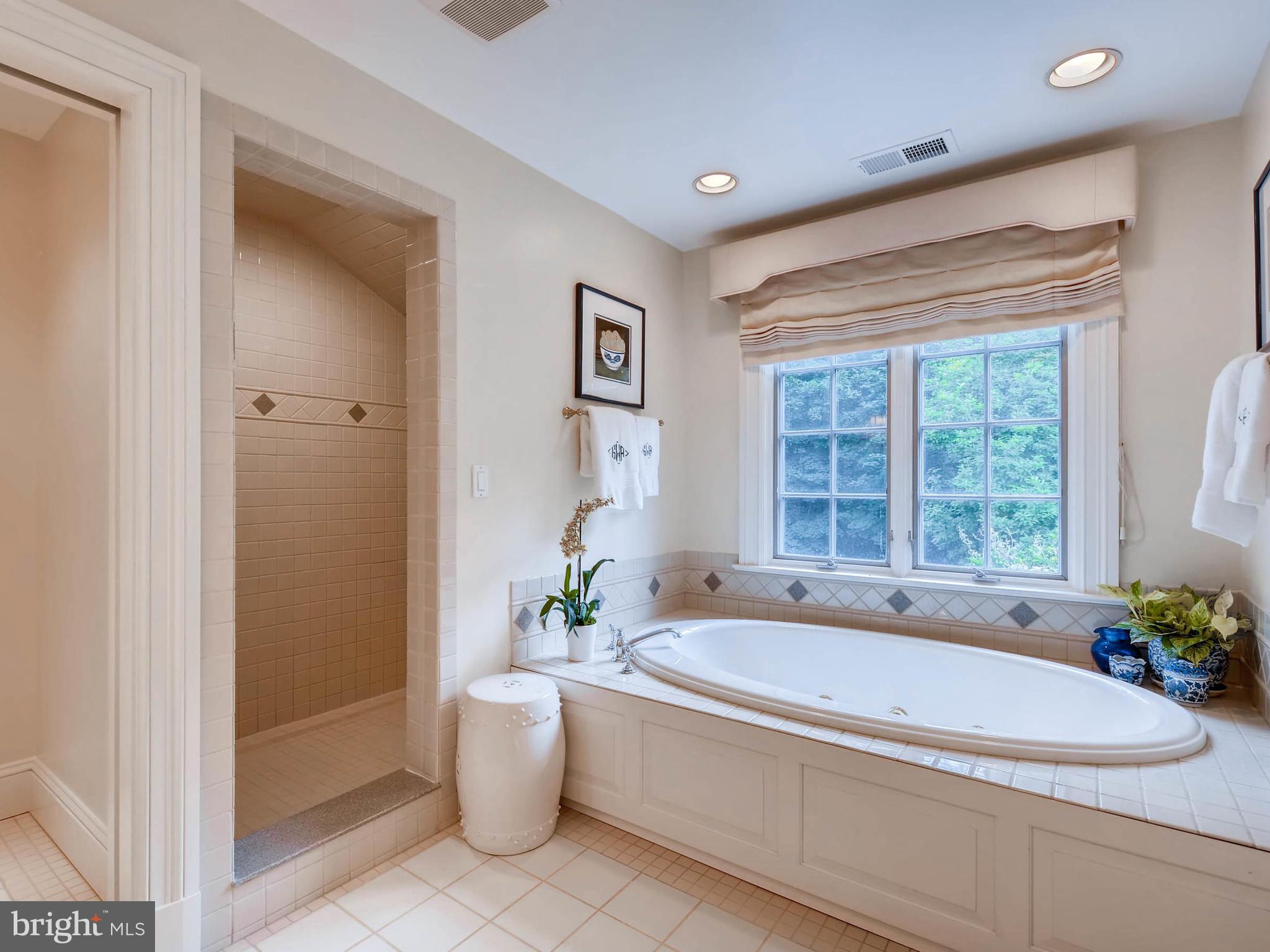 1201 Berwick Road Baltimore, MD 21204 - Photo 22 of 30 Master Bath - soaking tub, separate shower