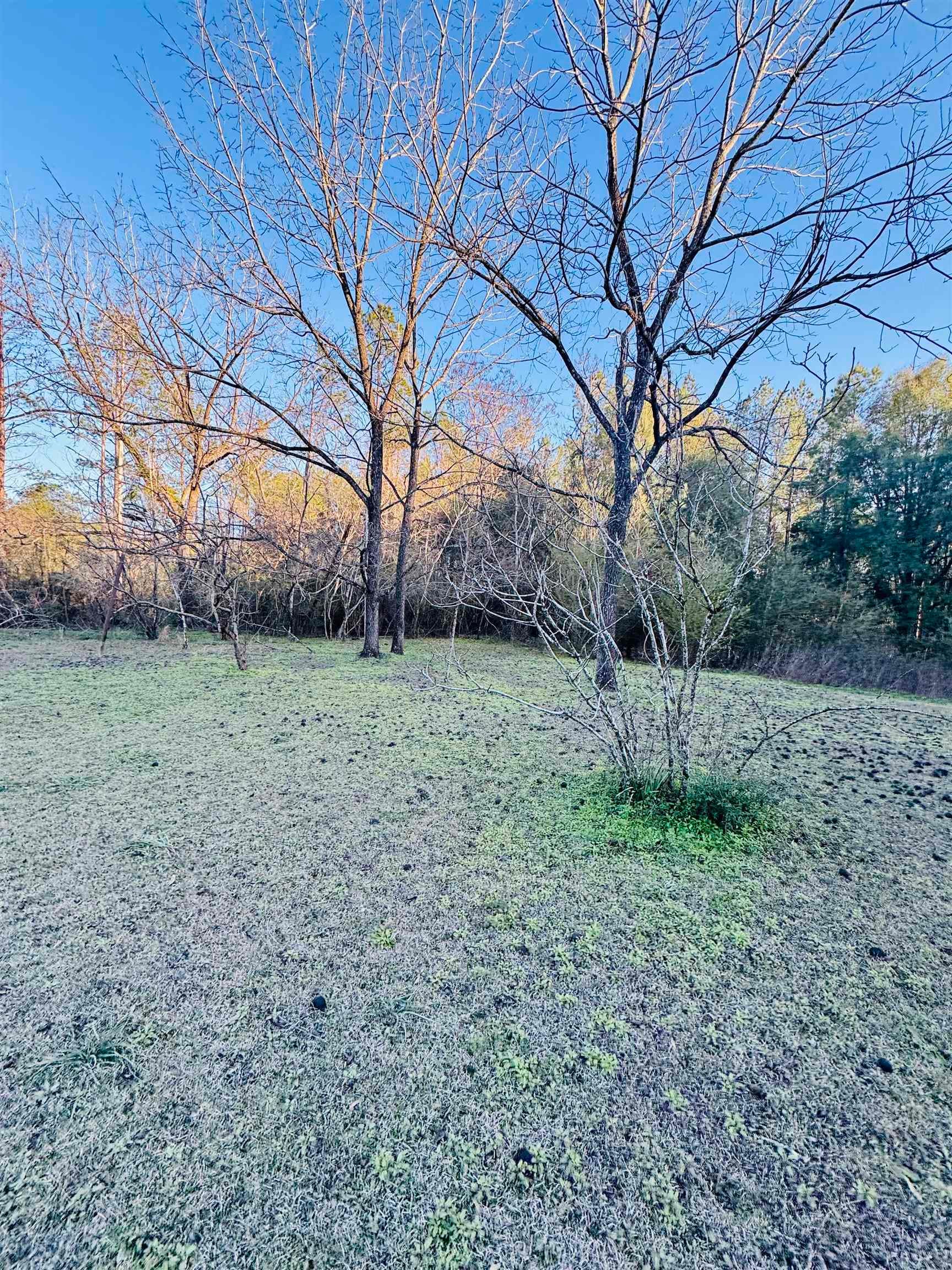 28813 Morgan Road Red Level, AL 36474 - Photo 9 of 25 Gallery Image 9