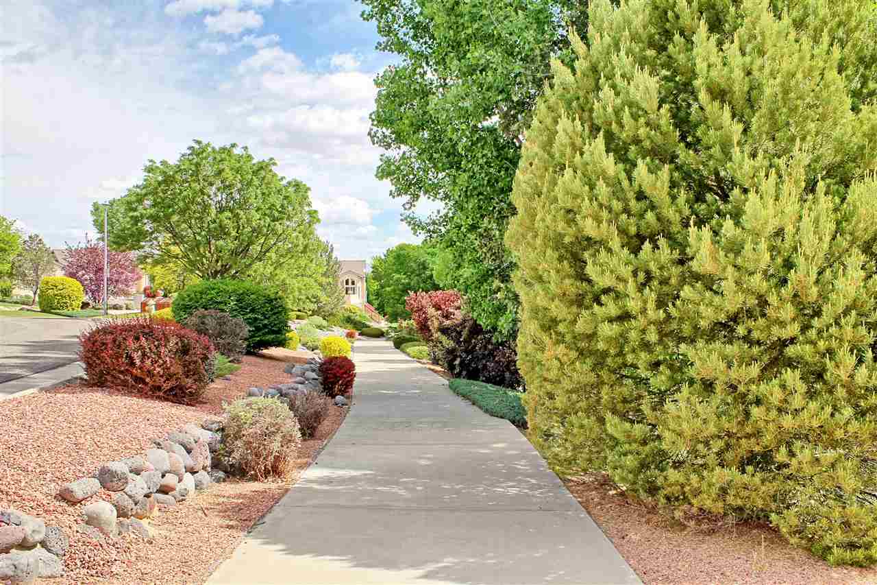 393 Ridge View Drive Grand Junction, CO 81507 - Photo 2 of 15 Gallery Image 2