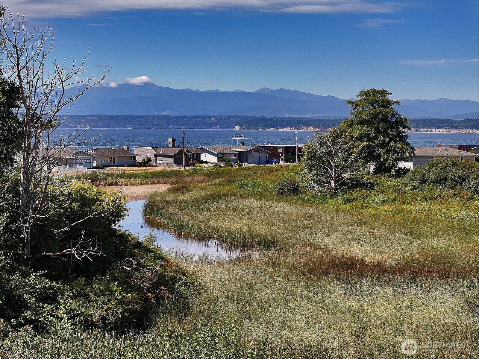 0 Frances Street Freeland, WA 98249 - Photo 8 of 13