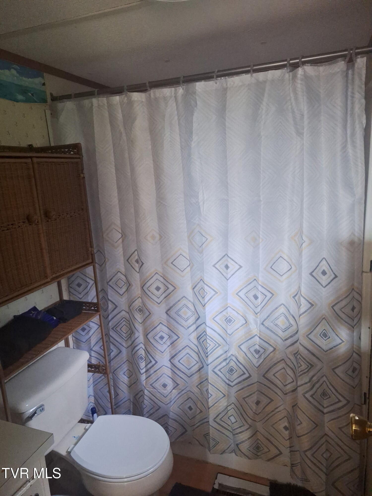 220 Fannin Road Greeneville, TN 37743 - Photo 6 of 19 6384046133800463932