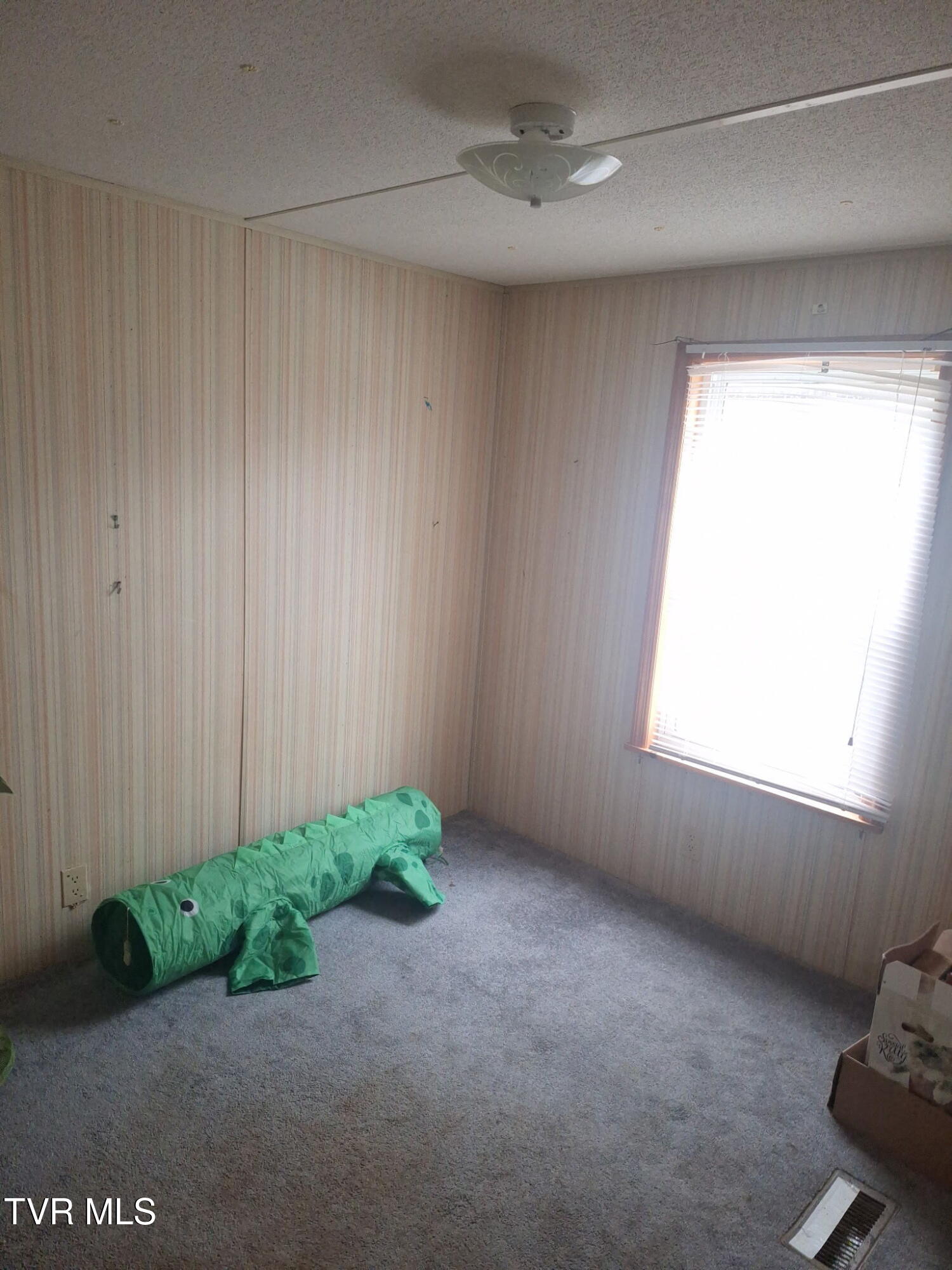 220 Fannin Road Greeneville, TN 37743 - Photo 8 of 19 3573728004985656815