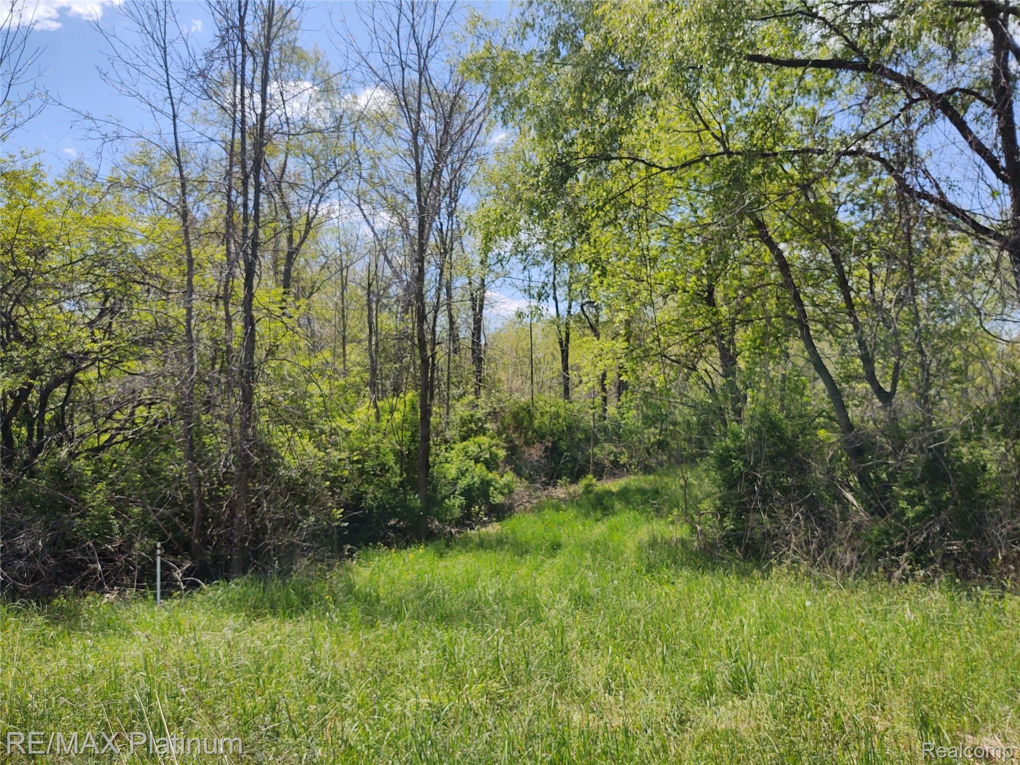 Vl Vl Read Road Fenton, MI 48430 - Photo 9 of 11 Read 9.jpg