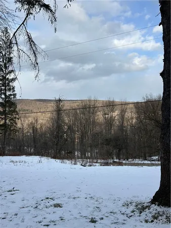 $55,000 | 3023 West River Road, Virgil, NY 13045