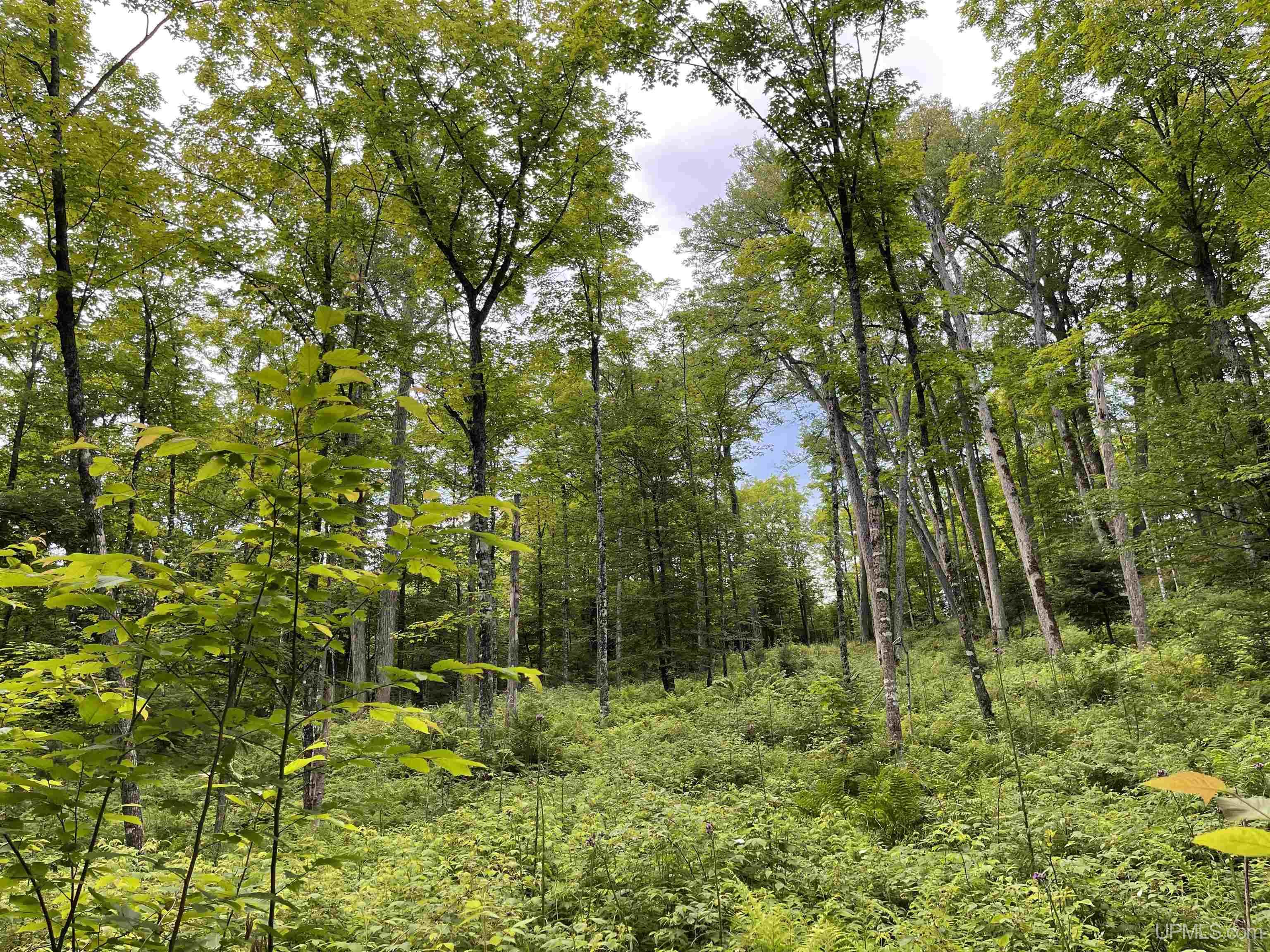 17-ac Cooper Lake Road Ishpeming, MI 49849 - Photo 5 of 10