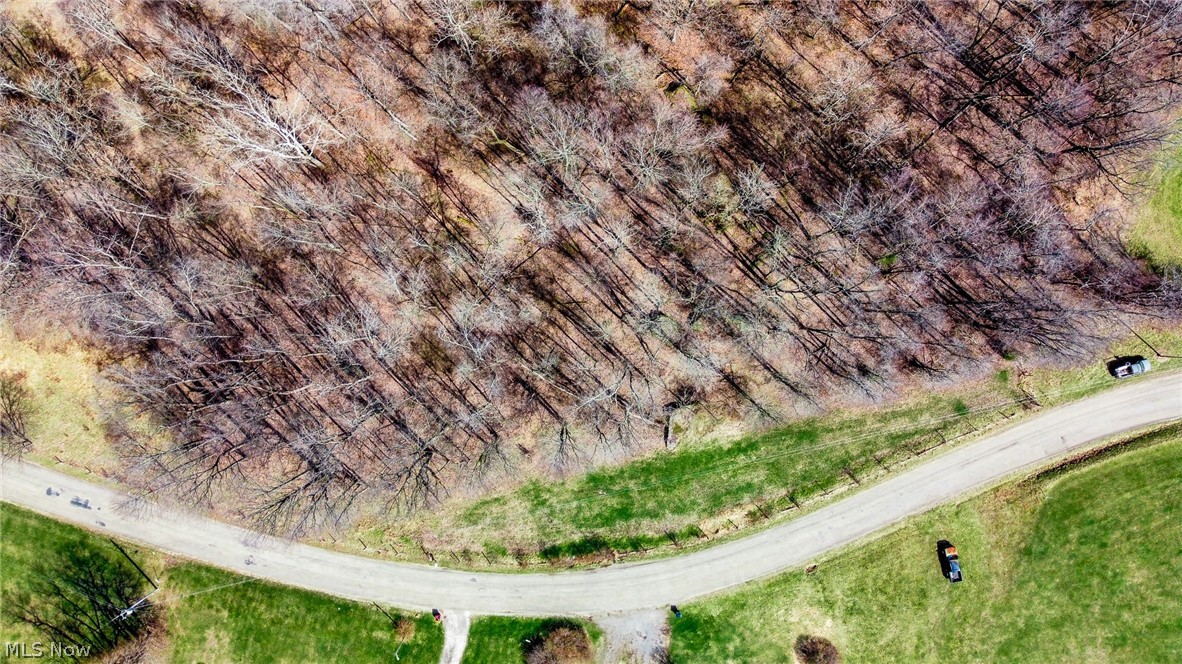 17805 Early Cemetary Road Kimbolton, OH 43749 - Photo 20 of 30 Bird's eye view