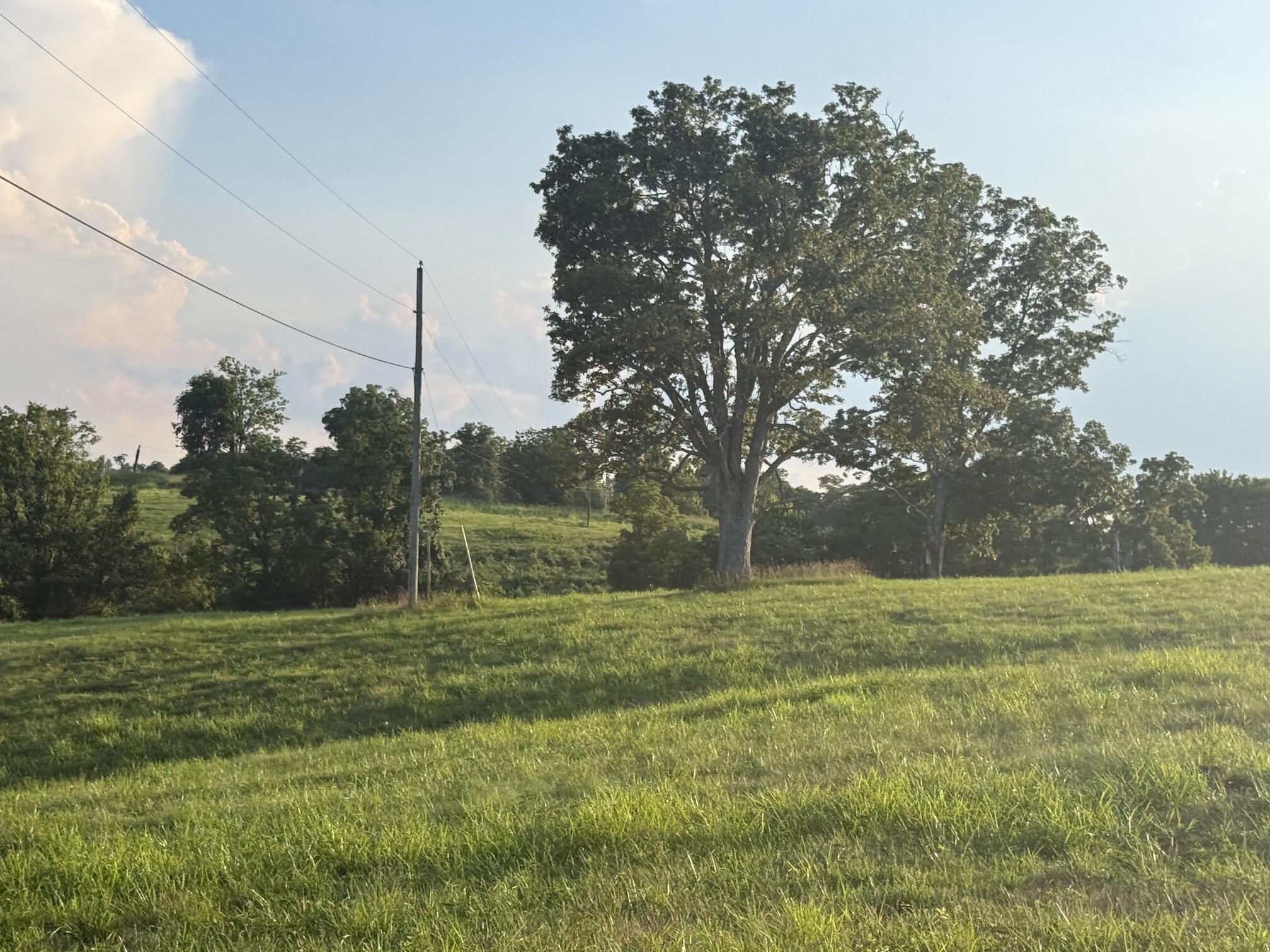 0 Renaker-Berry Road Berry, KY 41003 - Photo 28 of 32 IMG_3132