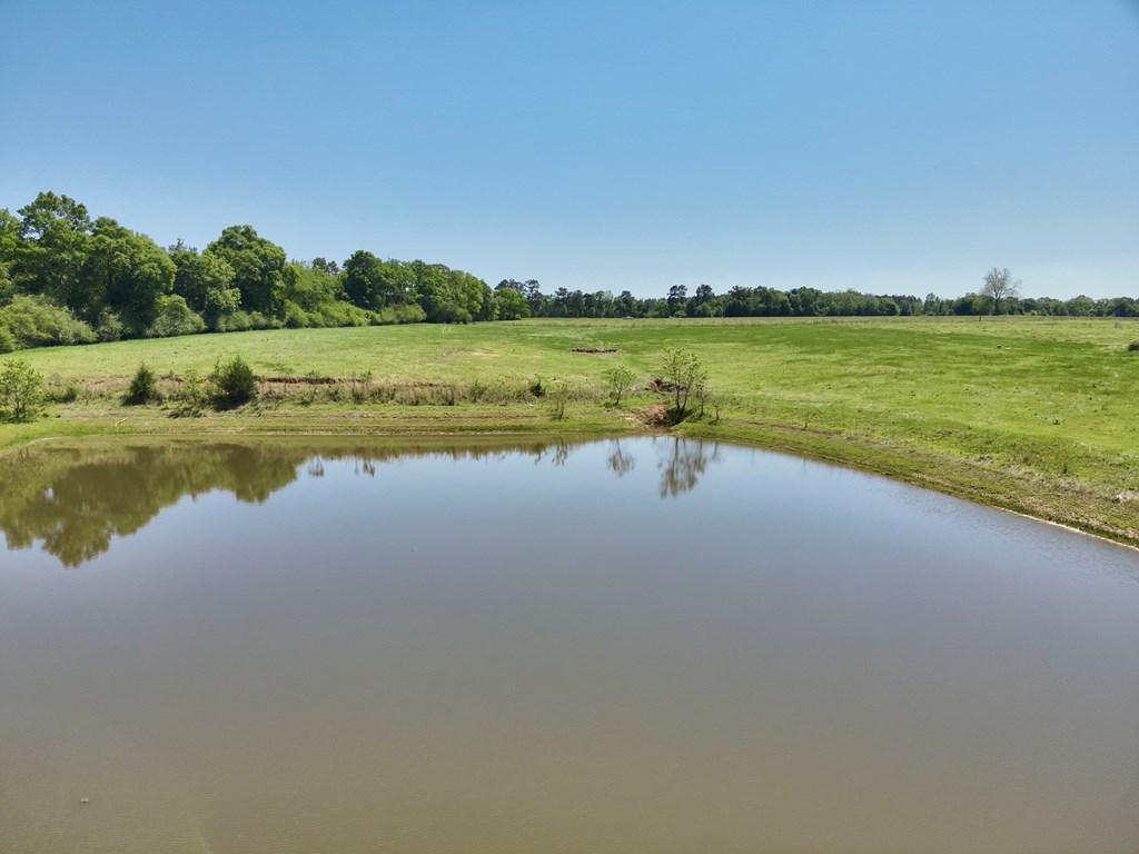 12.37-acres Huskey Road Dothan, AL 36303 - Photo 11 of 16