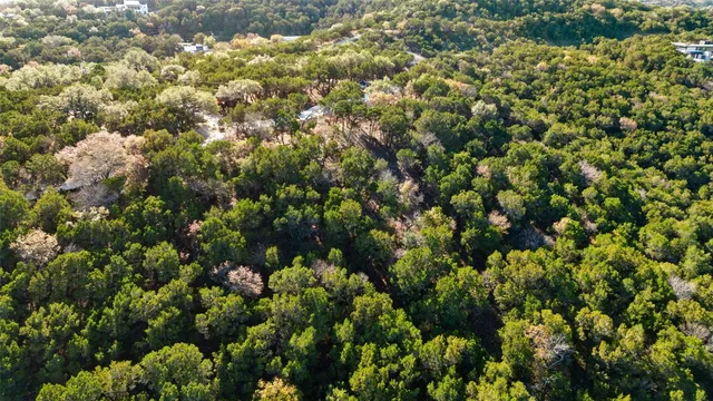 a view of a lush green field
