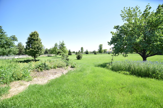 12340 North Grove Road Sycamore, IL 60178 - Photo 22 of 24 a view of a lush green space
