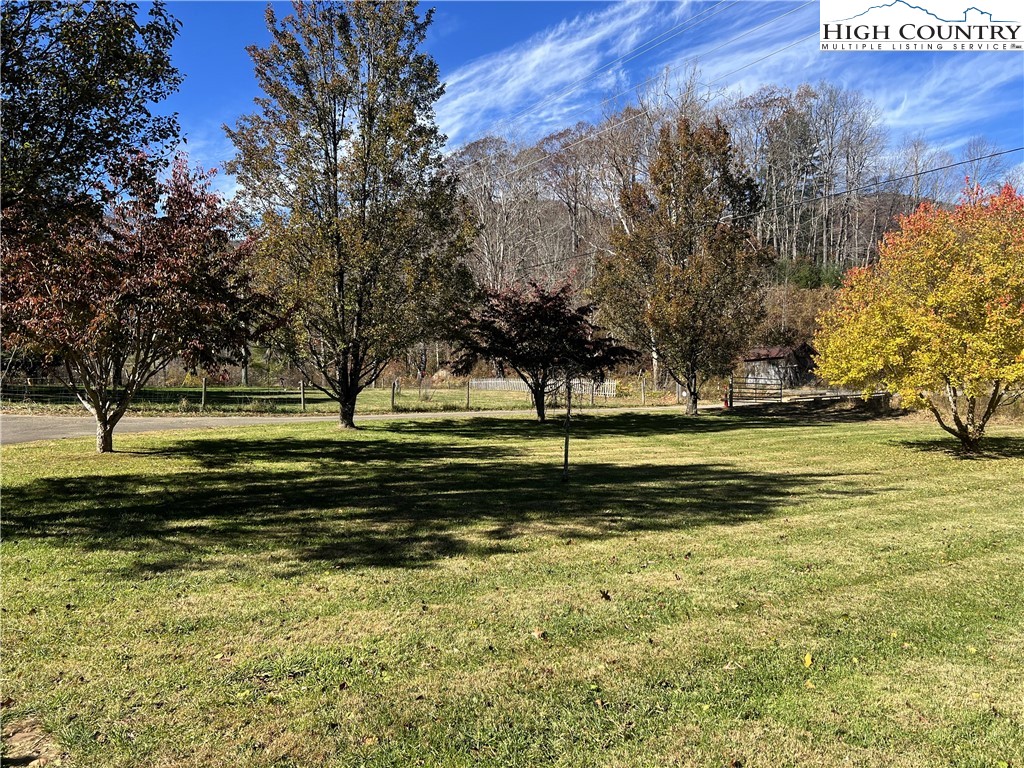 1371 West Buffalo Road West Jefferson, NC 28694 - Photo 28 of 31 a view of a yard with large trees