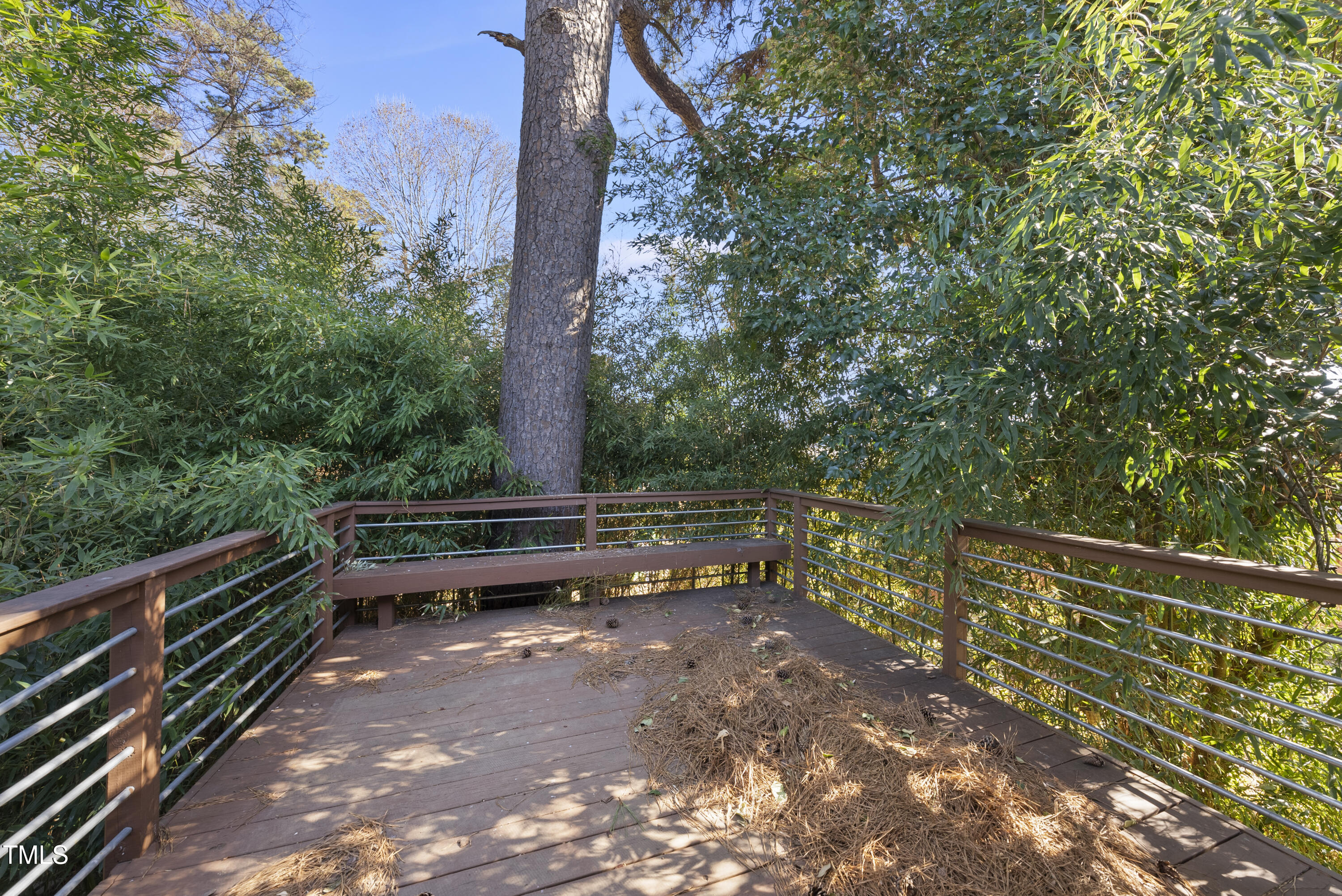 2301 Euston Street Raleigh, NC 27610 - Photo 12 of 13 DSC02807