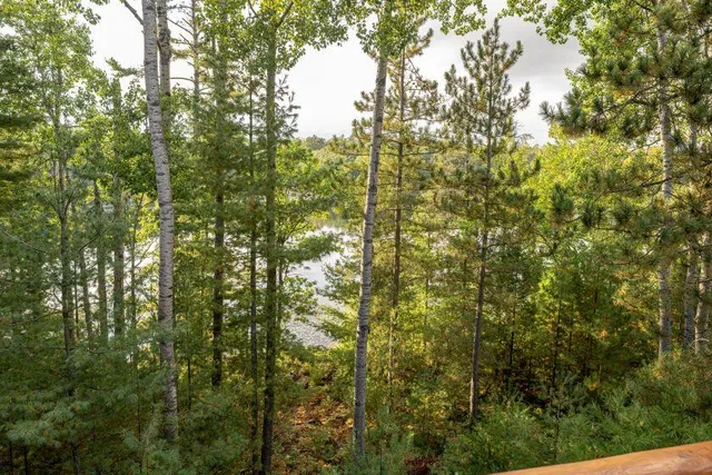 $1,750,000 | 8912 Echo Valley Trail, Atlanta, MI 49709