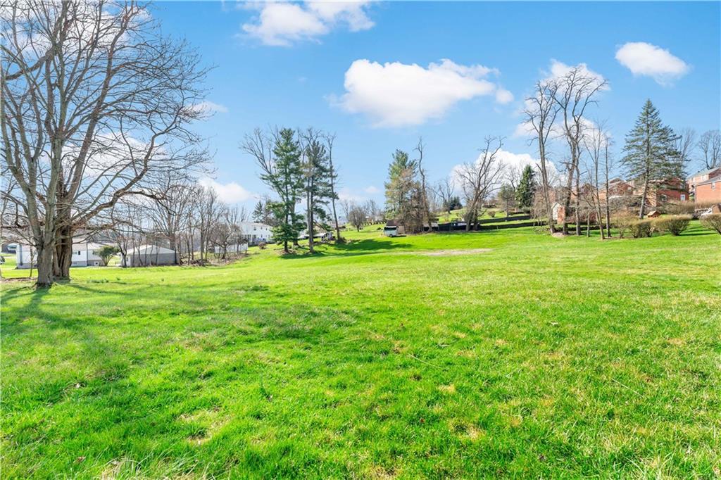 220 McClelland Road Canonsburg, PA 15317 - Photo 30 of 38 a yard with lots of trees